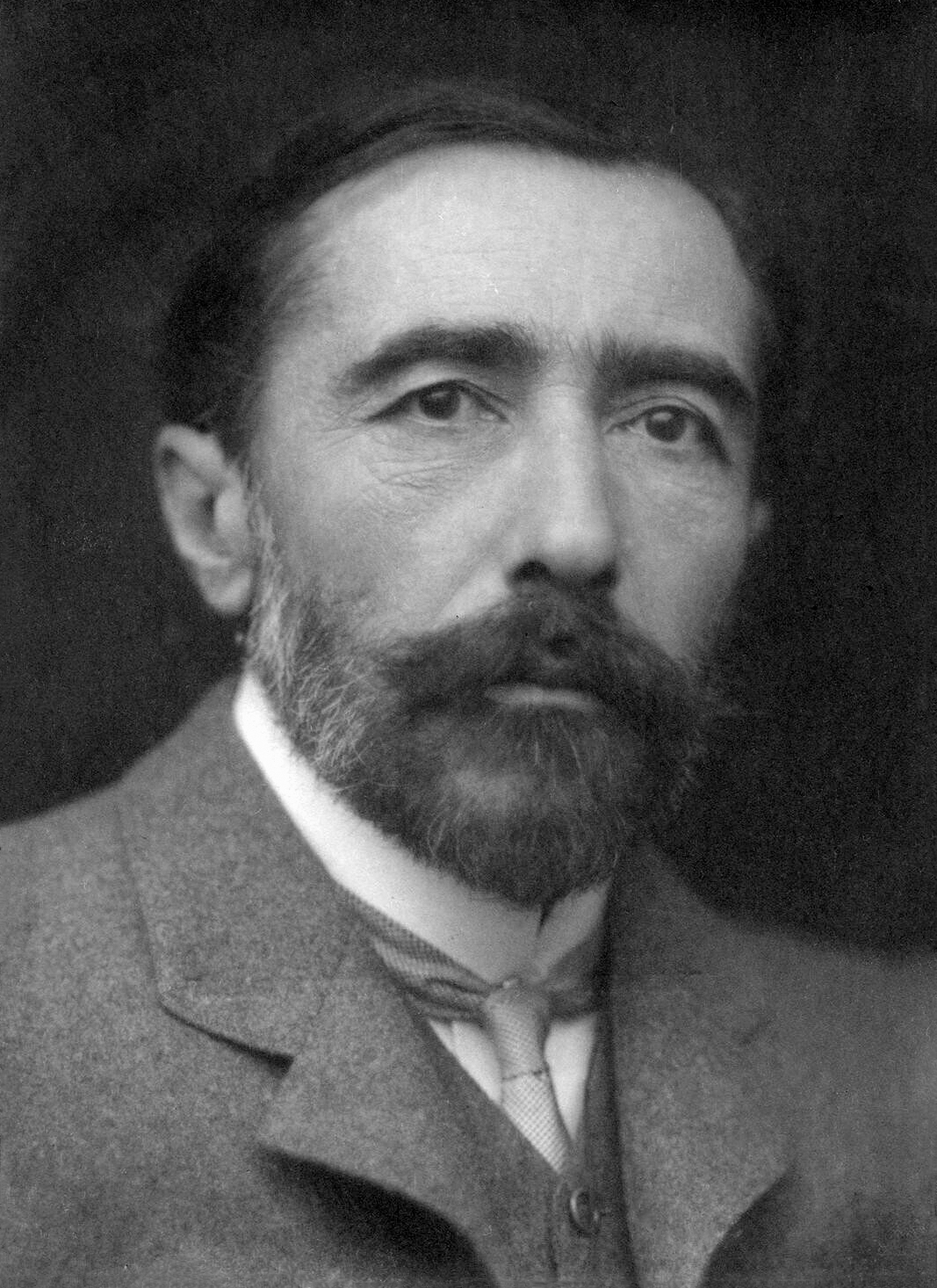 A studio portrait of a bearded man in a tweed jacket, looking past the camera.