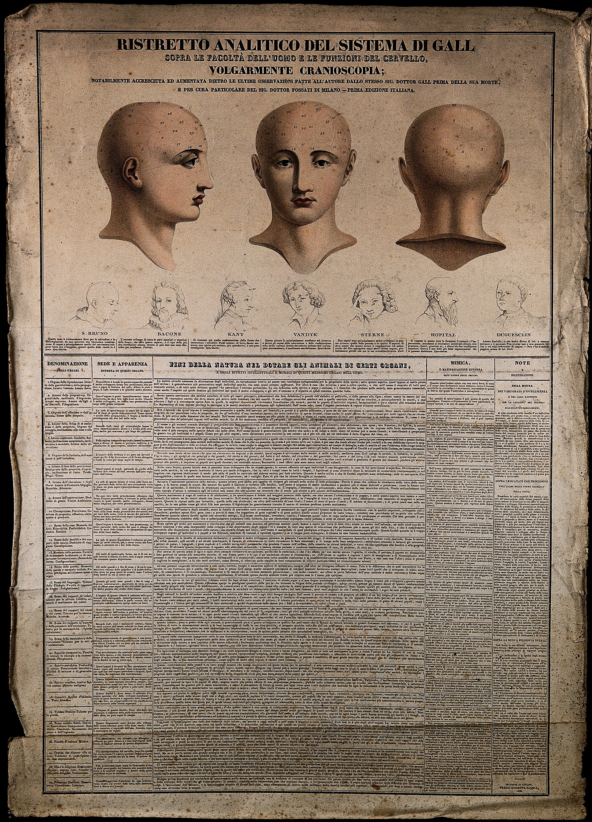 A nineteenth-century phrenological chart: a head shown from three angles, the skull divided into numbered faculties.
