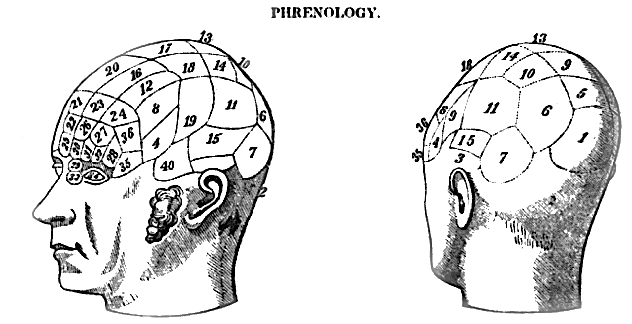 A magazine illustration of a head mapped into labelled compartments of character and ability.