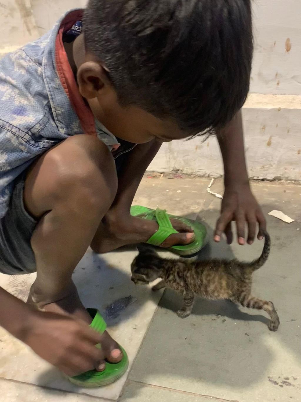 A boy crouching on the pavement, his hand gently stroking the tail of a small brown tabby kitten