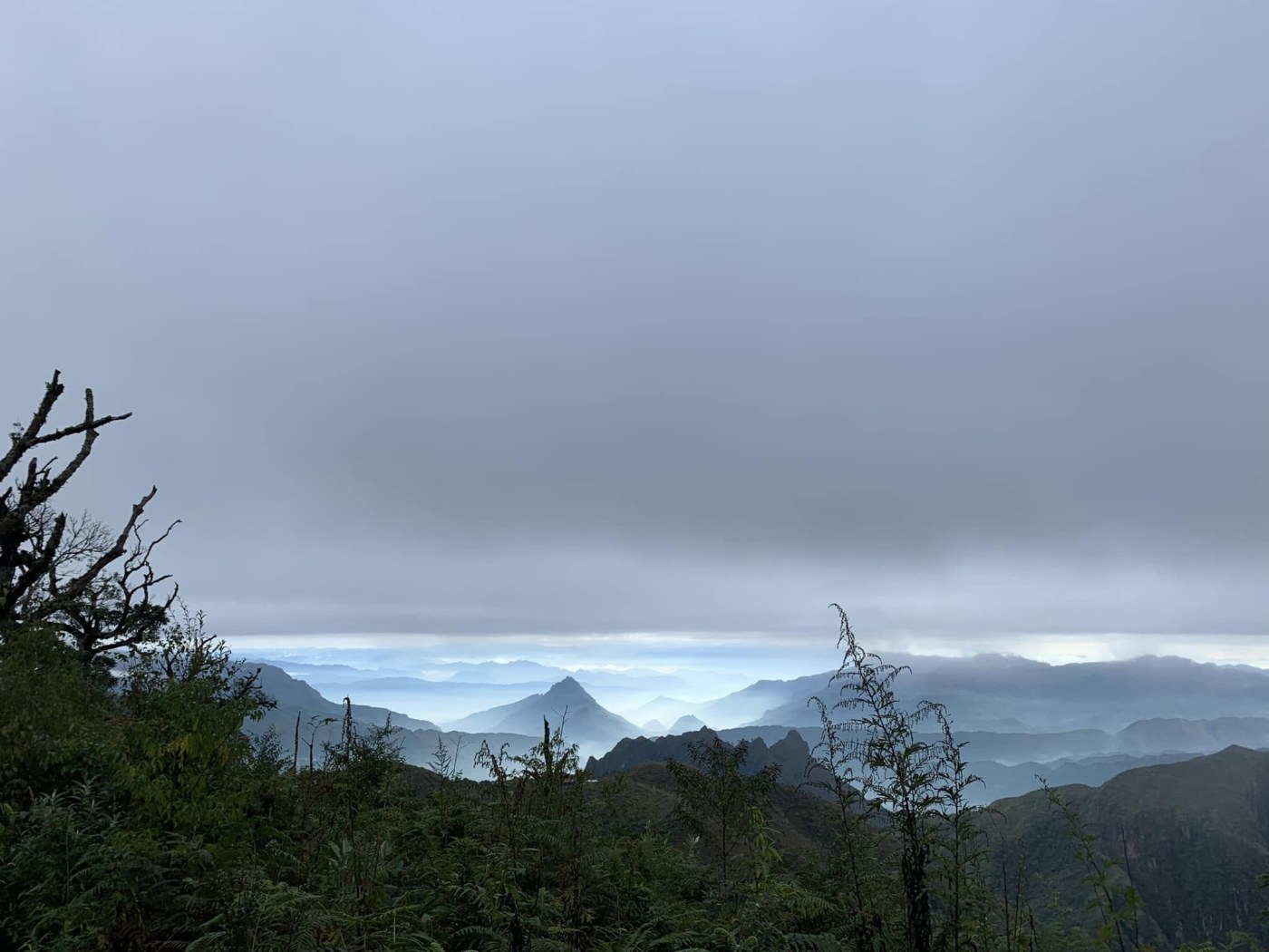 Looking out over ridge after ridge of mountains fading into haze under a heavy grey ceiling of cloud; bare branches and green scrub in the foreground